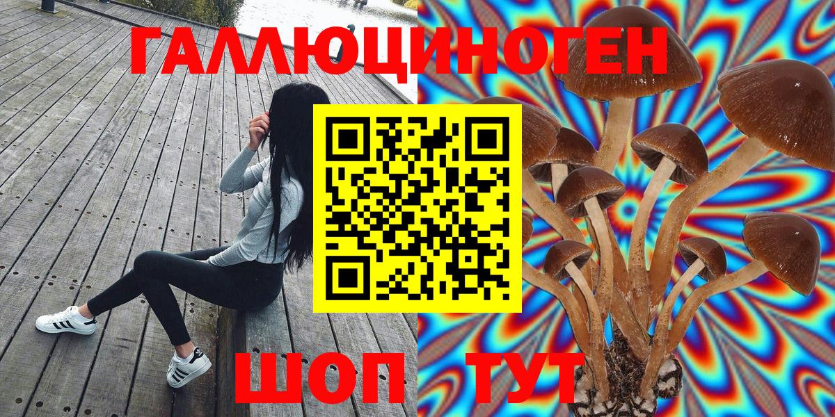 Краснознаменск  хочу   Псилоцибиновые грибы прущие грибы  Вход с VPN  Псилоцибиновые грибы Magic Shrooms 
