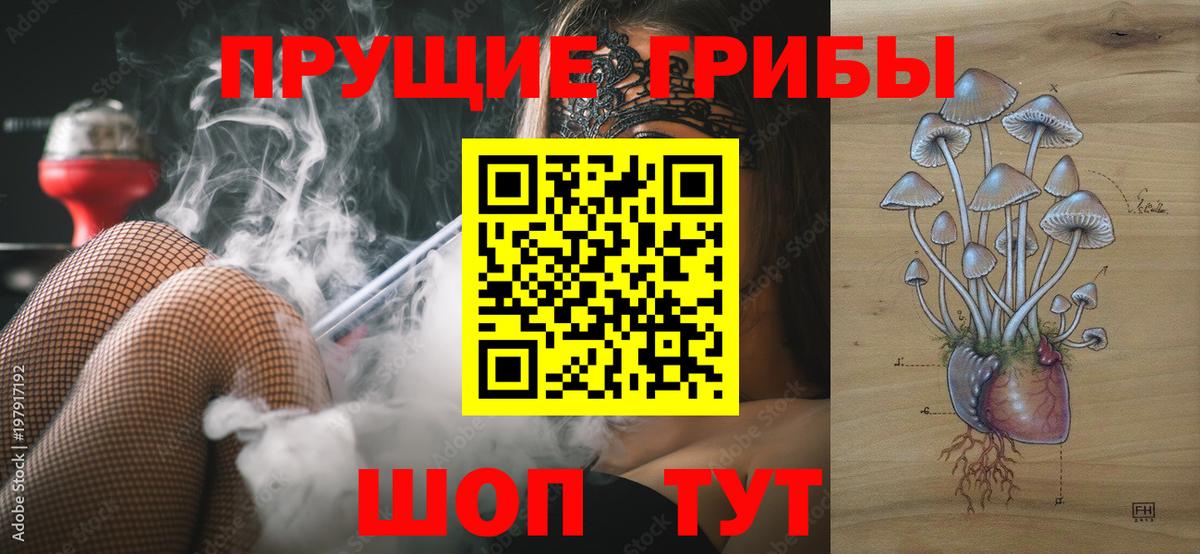 Псилоцибиновые грибы Magic Shrooms Краснознаменск